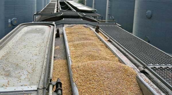 Експорт агропродукції залізницею пожвавився - INFBusiness