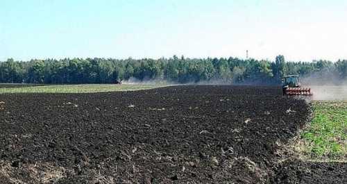 У Державному аграрному реєстрі припинили реєстрацію заявок на отримання бюджетної субсидії у розмірі 4000 грн на 1 га сільгоспугідь для впровадження сільськогосподарської діяльності. Заявки на бюджетні субсидії вже не приймають - INFBusiness