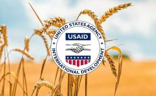 Програма USAID збільшила доходи українських фермерів на $90 млн - INFBusiness