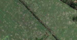 Грунти на територіях бойових дій забруднені токсичними речовинами, – дослідження