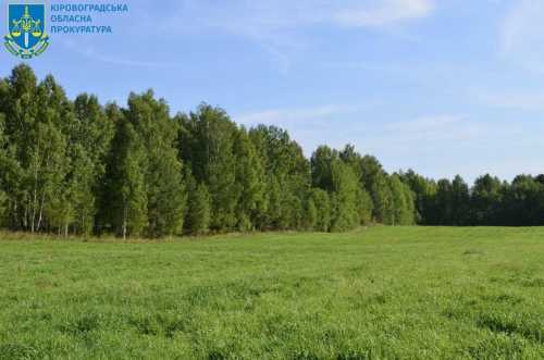 На Кіровоградщині лісовий масив вартістю дванадцять мільйонів гривень повернули у державну власність - INFBusiness