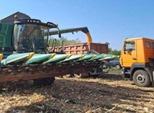 Агровіста почала збирати кукурудзу