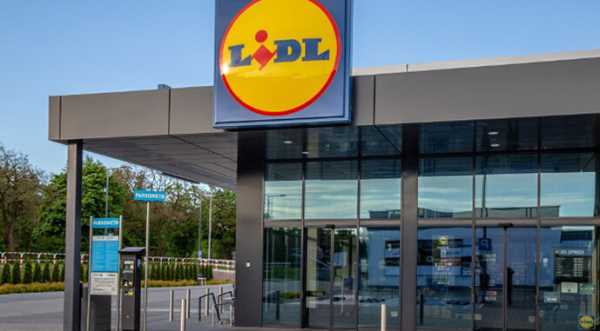 Український мед заходить у Lidl в Ірландії - INFBusiness