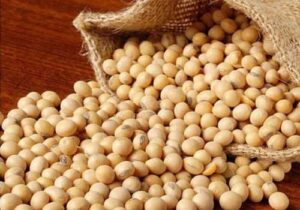 Експортер сої ухилився від сплати податків на 19 млн грн – справу скеровано до суду