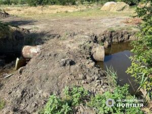 Три роки обмеження волі за поливання кавунів на присадибній ділянці