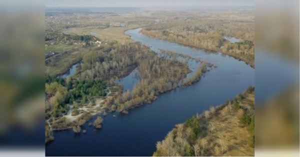 Отрута прийде за два дні: Київ готується зустрічати забруднені росіянами води Десни - INFBusiness