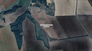 Земельний банк оголосив перші аукціони з оренди державних с/г земель