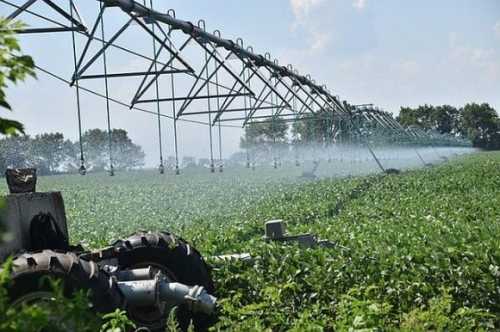 Полтавазернопродукт розвиває зрошення на Полтавщині: успіхи та виклики - INFBusiness