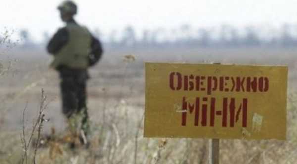 На деокупованих територіях України розміновано майже половину сільгоспугідь - INFBusiness