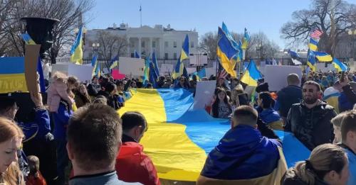 У чому сила американських українців та кого вони підтримають на виборах президента США - INFBusiness