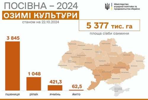 Осіння посівна: засіяно 5,37 млн га озимих - INFBusiness