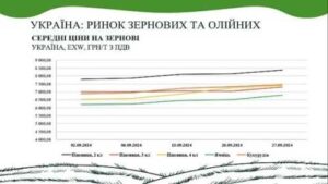 Аналітичний звіт від AgroMarket UUB: ринок зернових та олійних у вересні