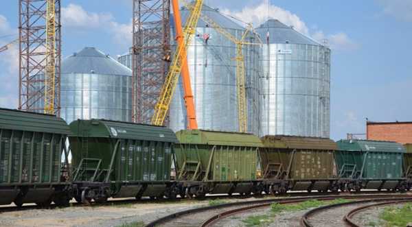Майже 90% зернових вантажів залізницею відправляються у напрямку портів - INFBusiness