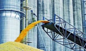 Нова система обліку зерна запрацює в Україні з 11 листопада