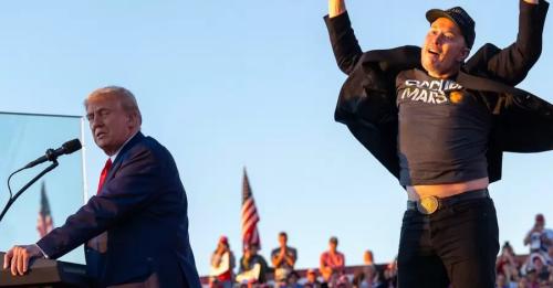 Володимир Фесенко: Трамп і Маск – як два ведмеді, в одній барлозі довго не уживуться - INFBusiness