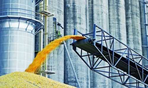 Нова система обліку зерна запрацює в Україні з 11 листопада - INFBusiness
