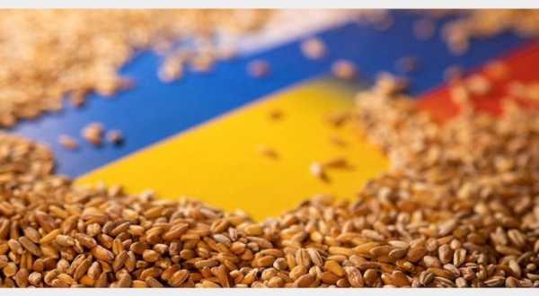 Окупанти налагоджують логістику вивезення українського зерна з Херсонщини - INFBusiness