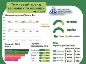 Тренди на ринку зернових та олійних з 25 по 31 жовтня