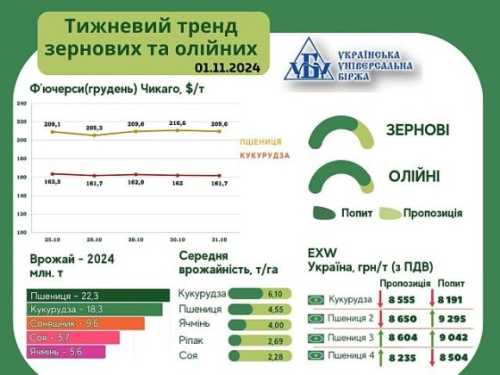 Тренди на ринку зернових та олійних з 25 по 31 жовтня - INFBusiness