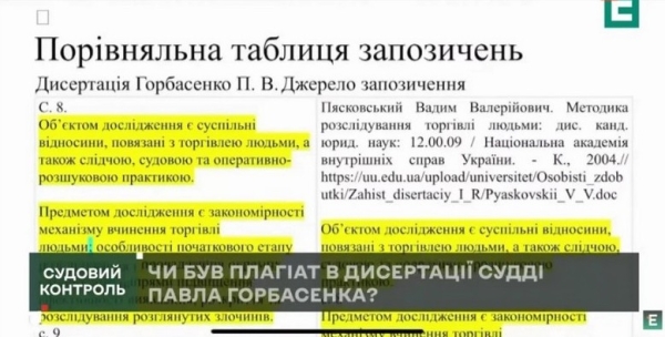 Списав навіть висновки: ЗМІ про голову Господарського суду Київської області, якого звинувачують у плагіаті - INFBusiness