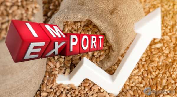 За 10 місяців поточного року експортовано більше продукції, ніж за весь 2023 рік - INFBusiness