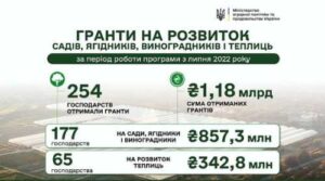 єРобота: на розвиток садів і теплиць аграріям виплатили з початку року понад 477 млн грн