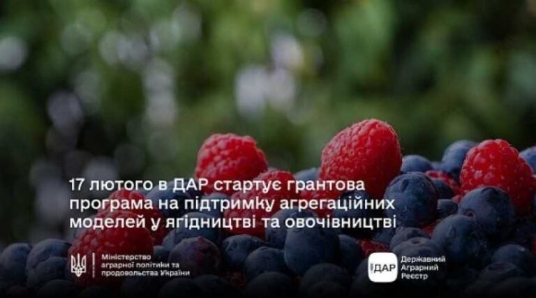 ФАО та ЄС нададуть гранти на підтримку агрегаційних моделей у сільському господарстві - INFBusiness