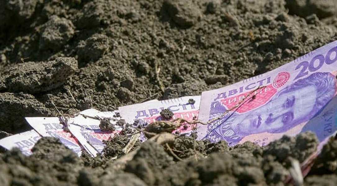 В Україні немає потоку бажаючих продати сільськогосподарську землю - INFBusiness