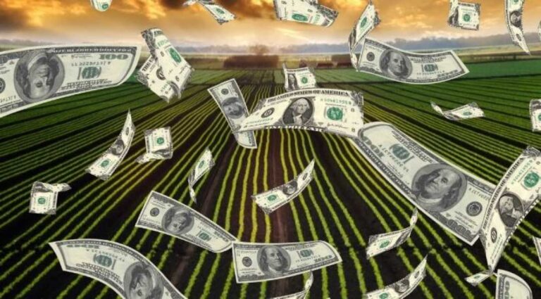 Ви можете інвестувати в землю сільськогосподарського призначення з мінімальним ризиком - INFBusiness
