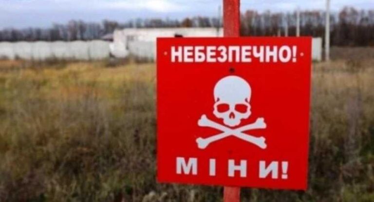 Мінекономіки створило сайт для аграріїв, які хочуть взяти участь у програмі компенсації витрат на розмінування - INFBusiness