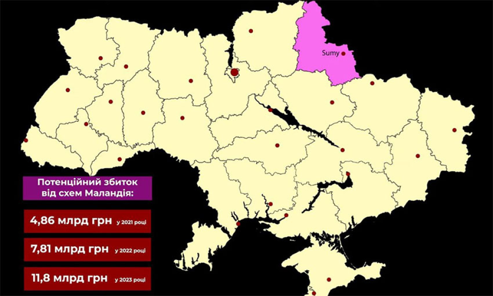 Лісова мафія на мільярди: журналісти викрили "біржову імперію" на Сумщині - INFBusiness