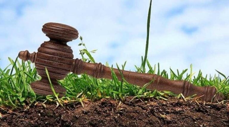 В рамках платформи Prozorro.Продажі з 21 по 25 квітня було проведено 32 онлайн-аукціони з суборенди державних земель в рамках ініціативи Земельного банку на загальну суму 93,6 млн гривень (+ 18,7 млн гривень ПДВ). Земельний банк: протягом тижня відбулося аукціонів на суму 93,6 млн гривень - INFBusiness