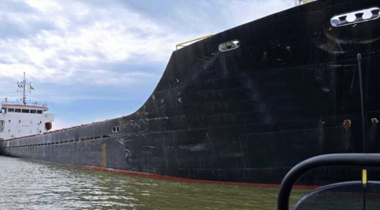 У Чорному морі затримали судно, яке перевозило українське зерно з Криму - INFBusiness