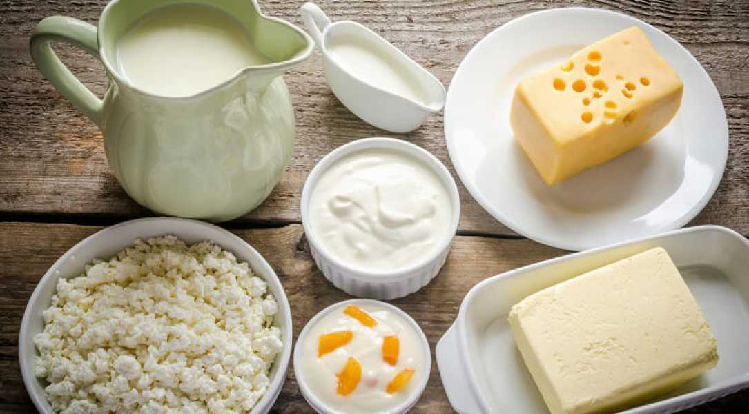 Дохід від експорту молочної продукції зріс у 1,5 раза - INFBusiness