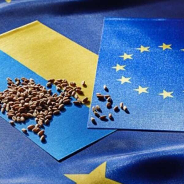 Європейський Союз підбив підсумки торгівлі з Україною: яке місце займає&hellip;