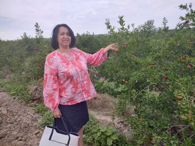 Експерт SB Оксана Руженкова: Наші ціни наближаються до європейських, але 2 євро за буханець – це забагато - INFBusiness