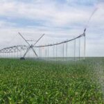 Через дорогу реєстрацію фермери не можуть впроваджувати зрошення - INFBusiness