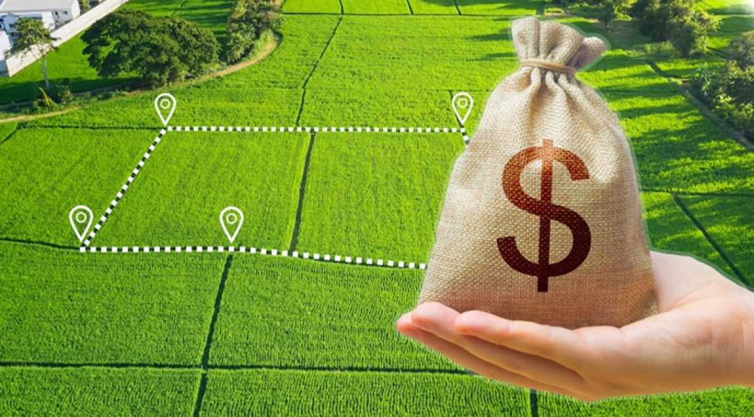 Лише одна компанія в Україні наблизилася до ліміту володіння землею - INFBusiness