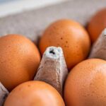 Канада випустила на свій ринок яйця з України - INFBusiness