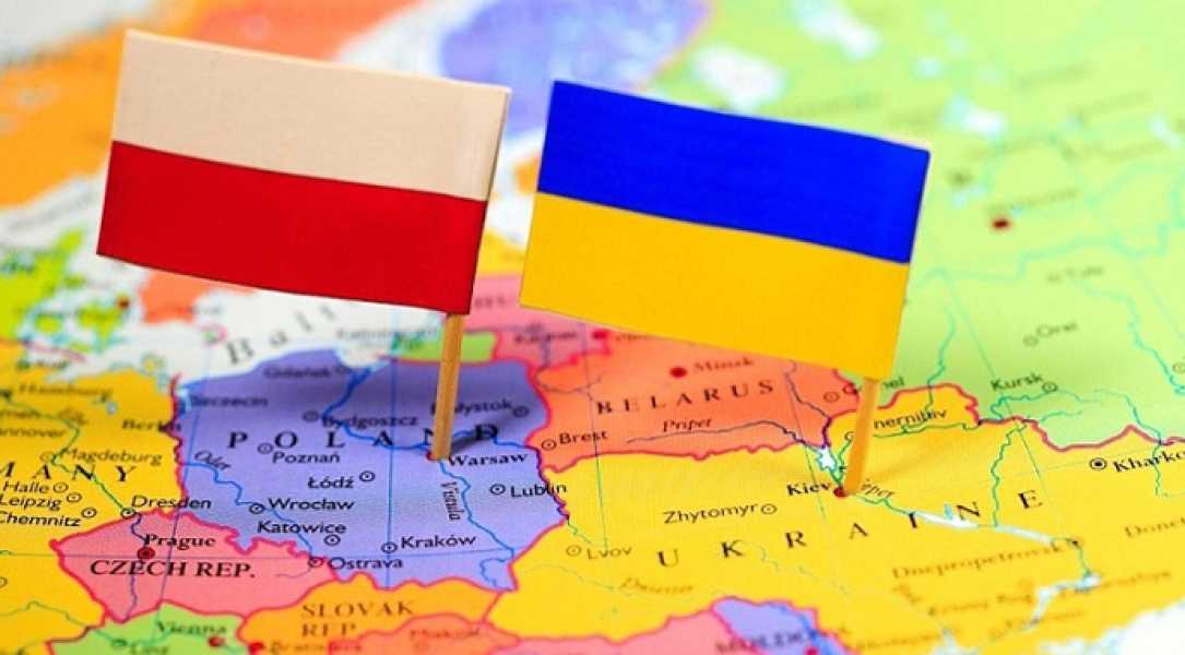 Польські інвестиції в агробізнес України мають довгострокові перспективи - INFBusiness