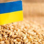 Експорт зерна у квітні відстає від минулорічного на 60% - INFBusiness