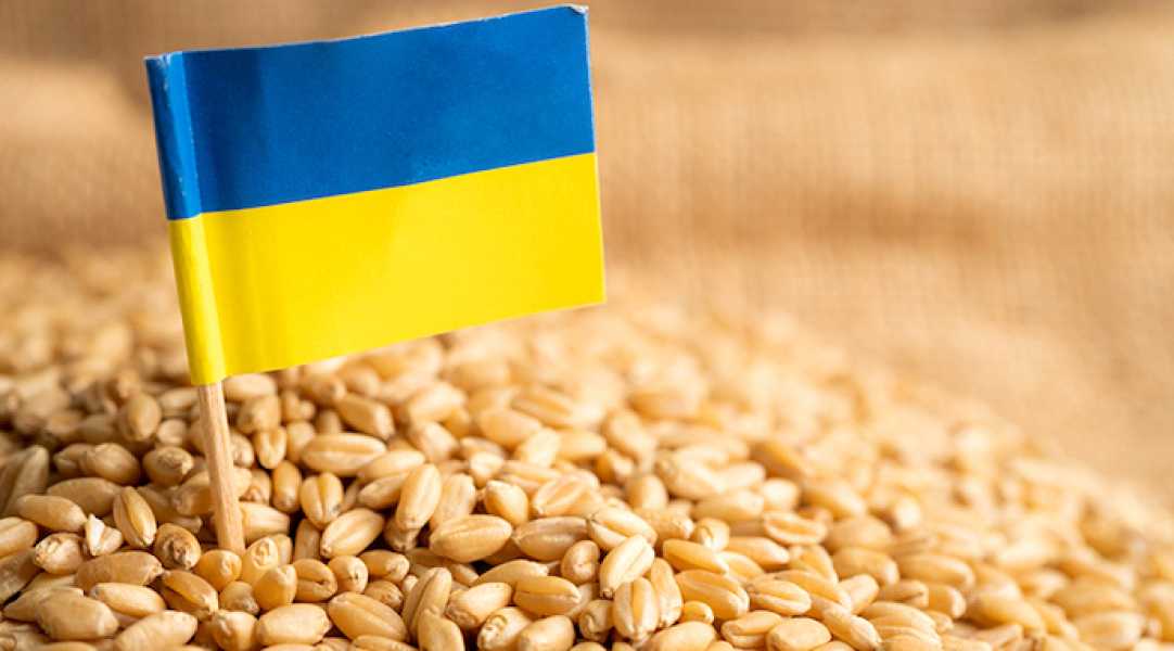 Експорт зерна у квітні відстає від минулорічного на 60% - INFBusiness