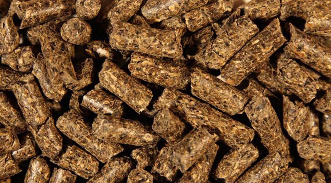 Україна посідає друге місце серед світових постачальників тістечок та борошна до Китаю - INFBusiness