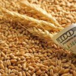 З України експортовано на 6 мільйонів тонн менше зерна - INFBusiness