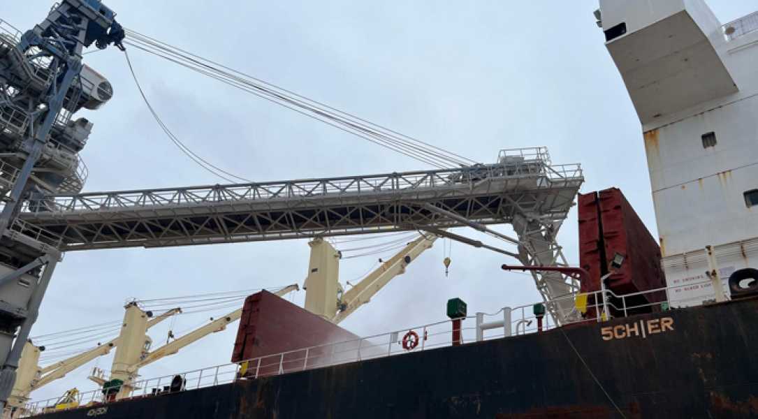 Фрахт Panamax для перевезення українського зерна став дешевшим - INFBusiness