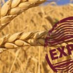 Українських виробників зерна закликали не торгувати з країнами, що перебувають під санкціями - INFBusiness