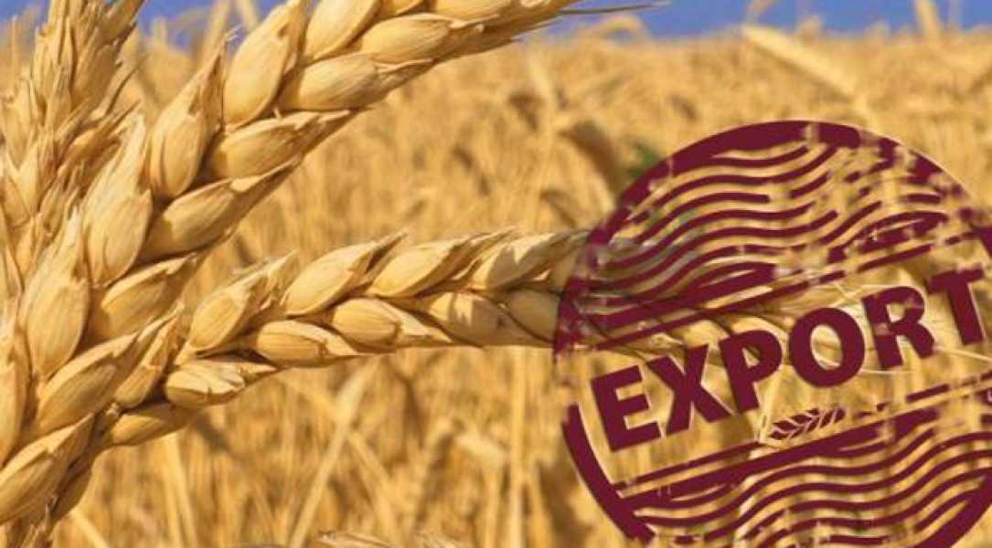 Українських виробників зерна закликали не торгувати з країнами, що перебувають під санкціями - INFBusiness