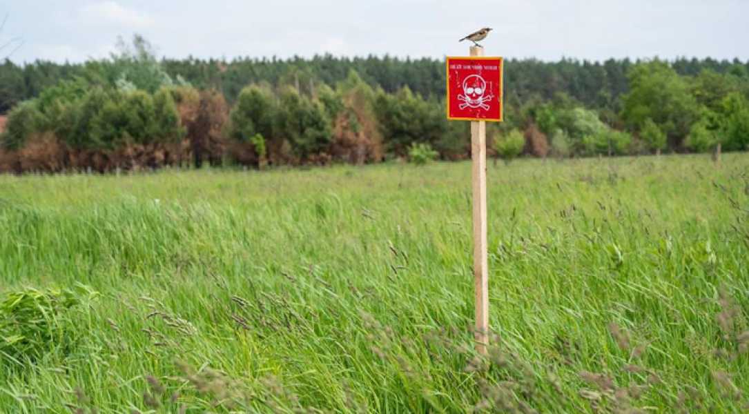 Фермери повинні активно займатися розмінуванням, поки немає черг - INFBusiness