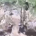 Окупанти розстріляли полонених військовослужбовців ЗСУ поблизу Волновахи - INFBusiness