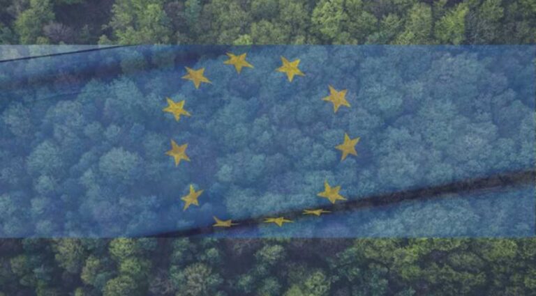 Невиконання EUDR загрожує штрафами та втратою ринку ЄС. - INFBusiness